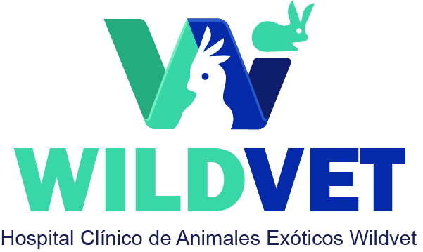branding logo